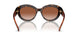 300613 - Tortoise - Brown Gradient