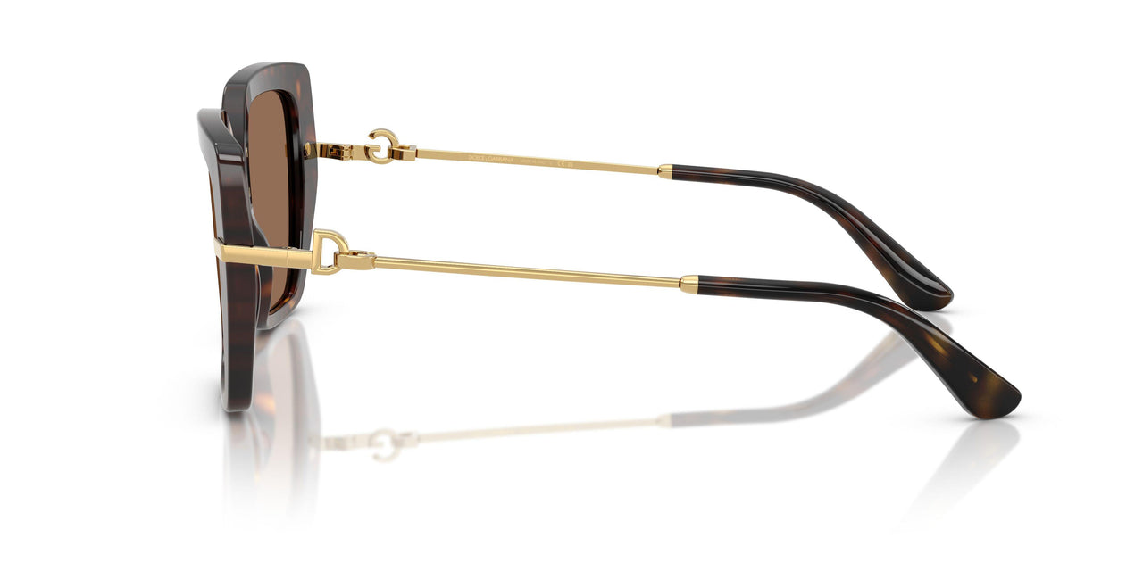 502/73 - Tortoise - Dark Brown
