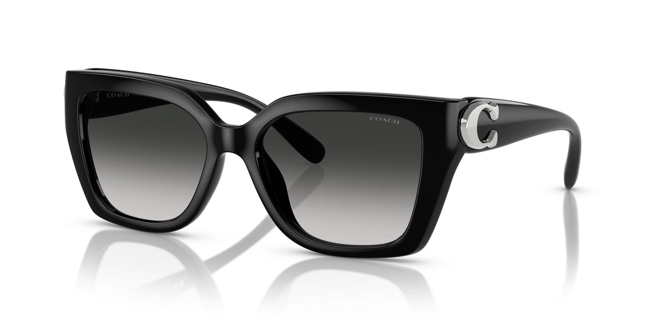 50023C - Black - Grey Gradient