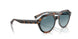 14133M - Tortoise - Blue Gradient Grey