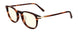 02309 - Tortoise - Clear