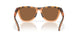 950308 - Brown - Prizm Bronze