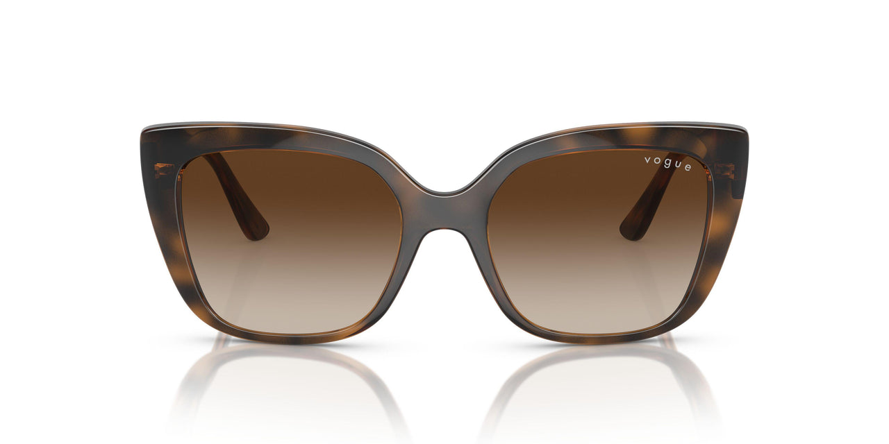 238613 - Havana - Brown Gradient