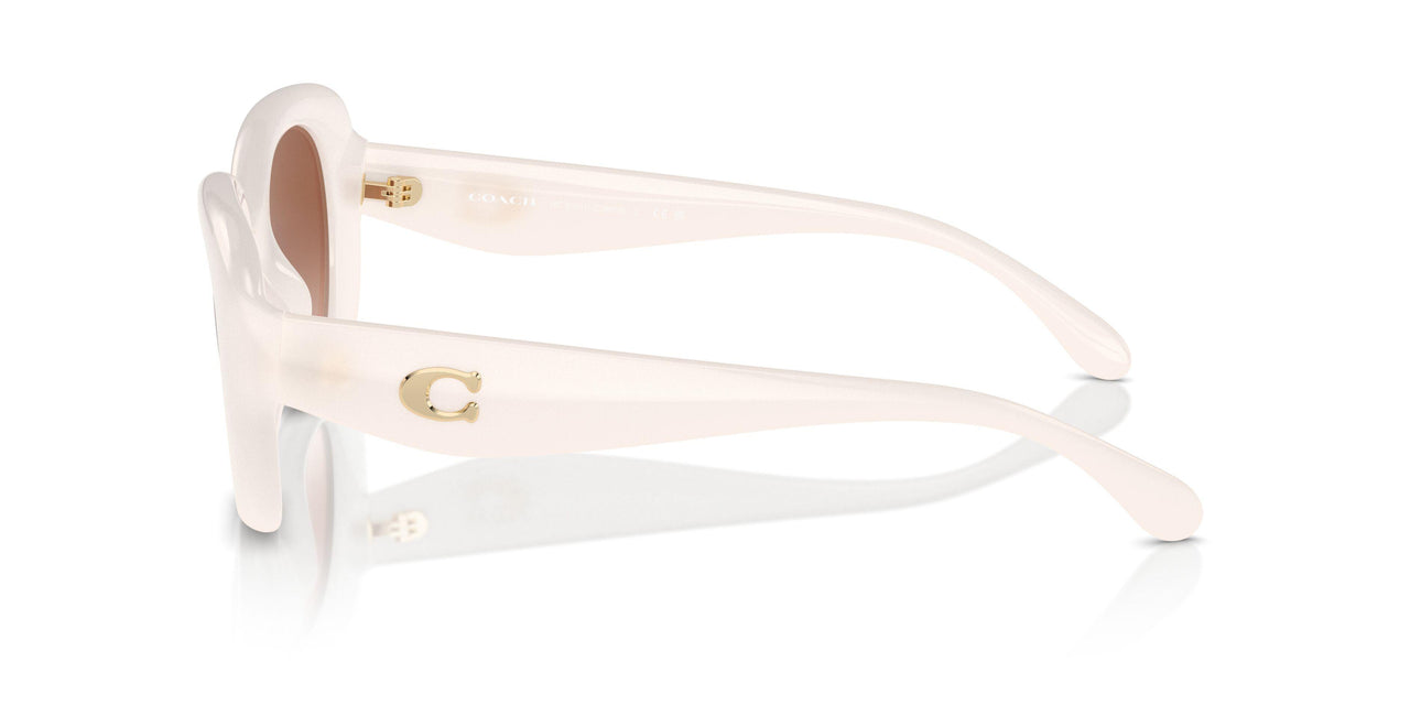 580513 - White - Brown Gradient