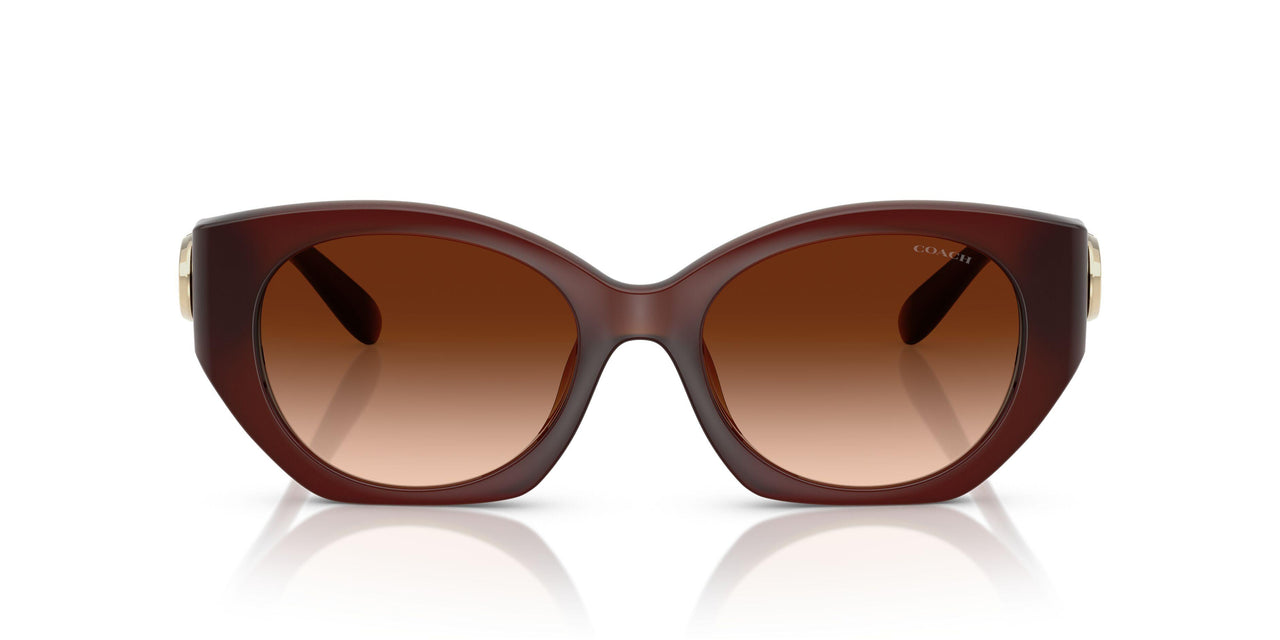 584174 - Brown - Brown Gradient