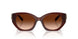 584174 - Brown - Brown Gradient