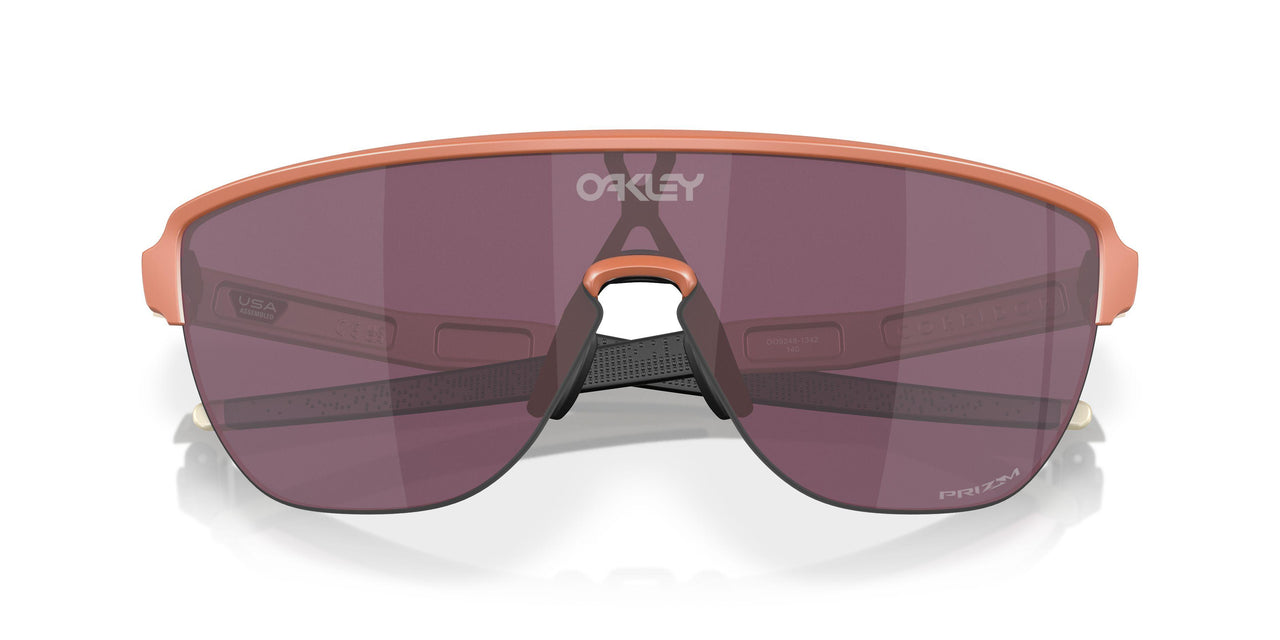924813 - Brown - Prizm Black