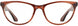 1 - Cedar - DM