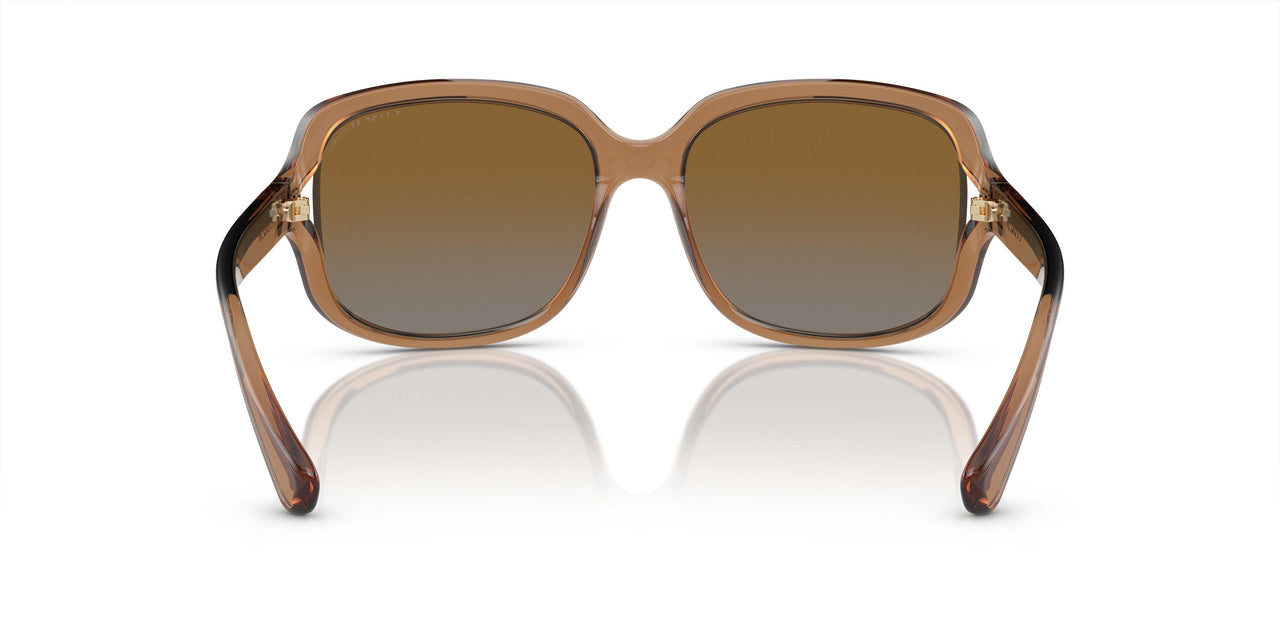 5561T5 - Brown - Brown Grey Gradient Polar