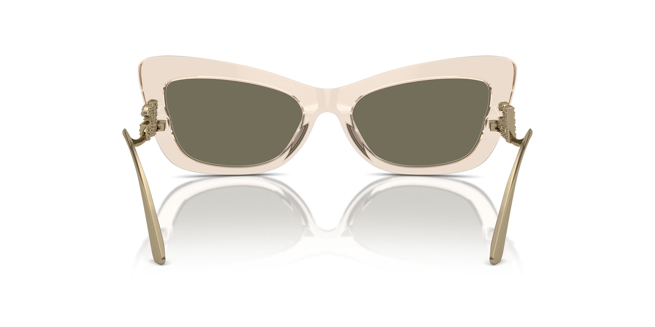 343203 - Brown - Clear Mirror Real Yellow Gold