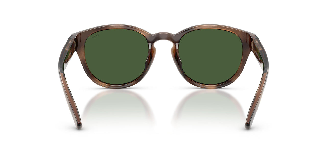 607071 - Tortoise - Bottle Green