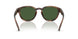 607071 - Tortoise - Bottle Green