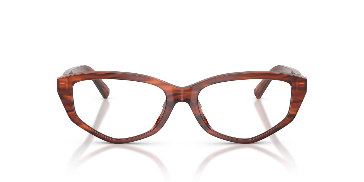 8440 - Tortoise