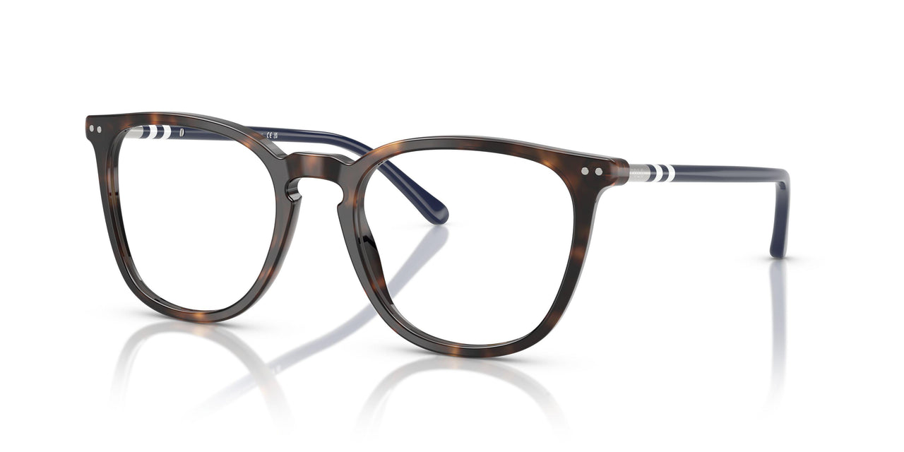 5003 - Tortoise