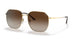 280/13 - Gold - Brown Gradient