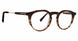 Mr Turk MTSANDBY Eyeglasses