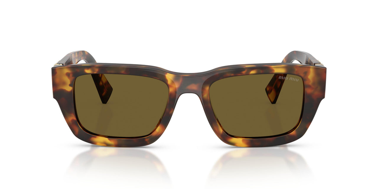 14L09Z - Tortoise - Dark Brown