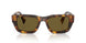 14L09Z - Tortoise - Dark Brown