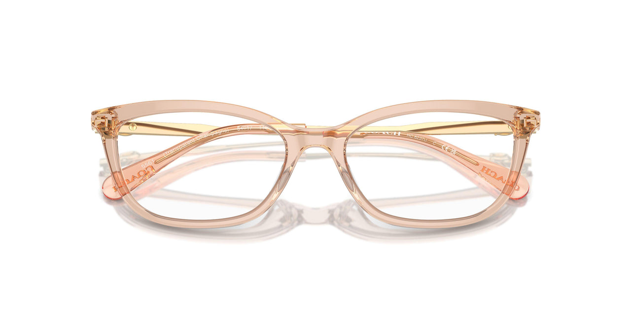 5561 - Brown