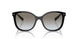 1AB0A7 - Black - Grey Gradient