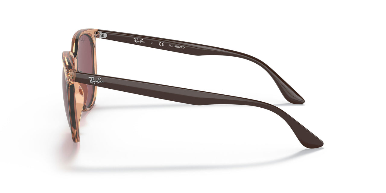 66025Q - Brown - Purple Polar