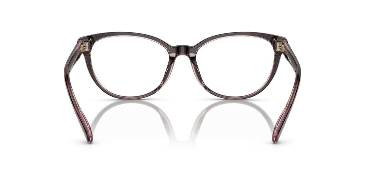 5744 - Tortoise