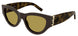 007 - Brown/Havana - Brown