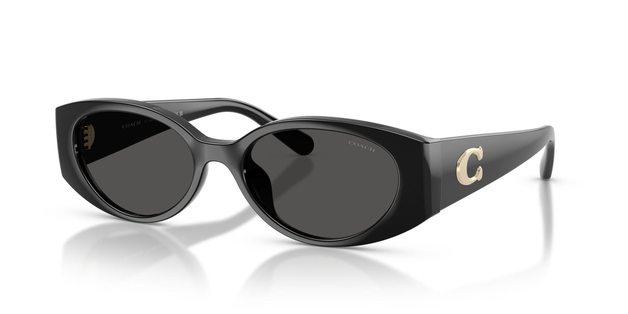 Coach Cfu06 8462U Sunglasses