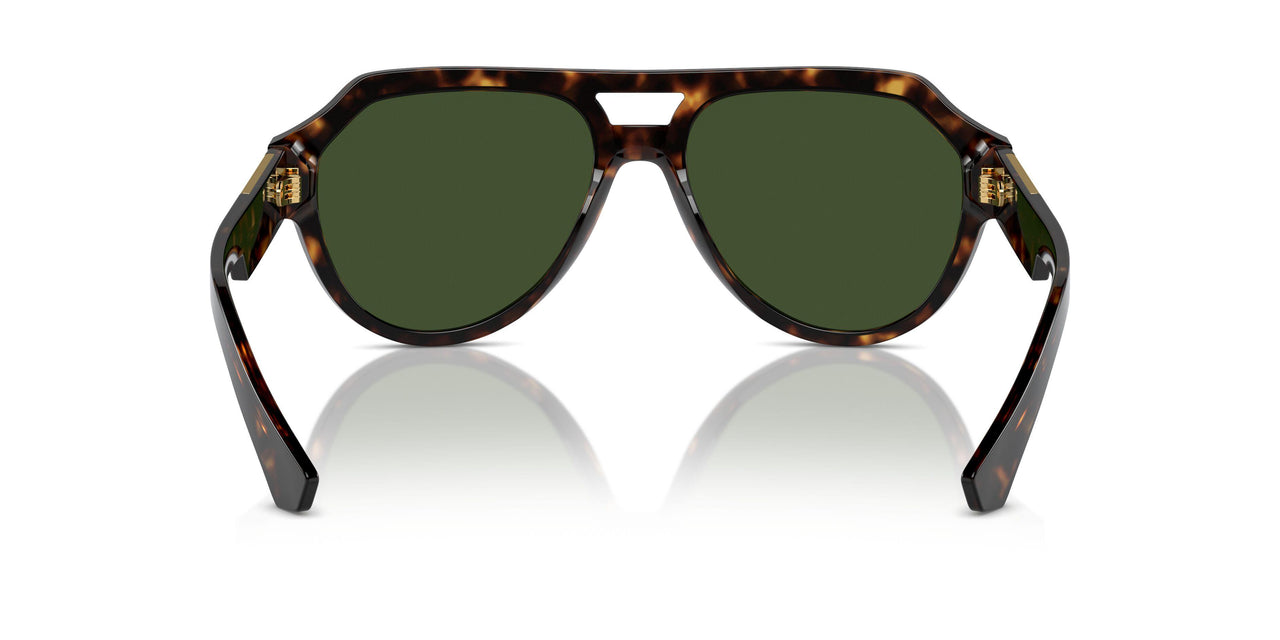 502/71 - Tortoise - Dark Green