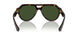502/71 - Tortoise - Dark Green