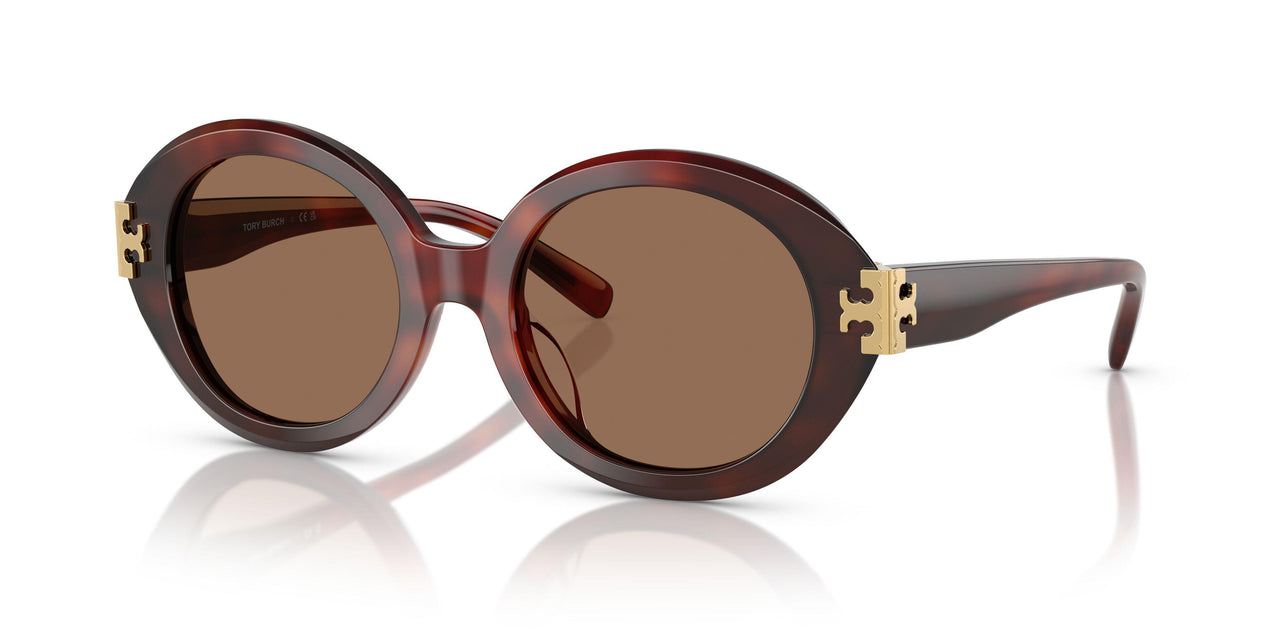 201173 - Tortoise - Dark Brown