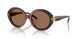 201173 - Tortoise - Dark Brown