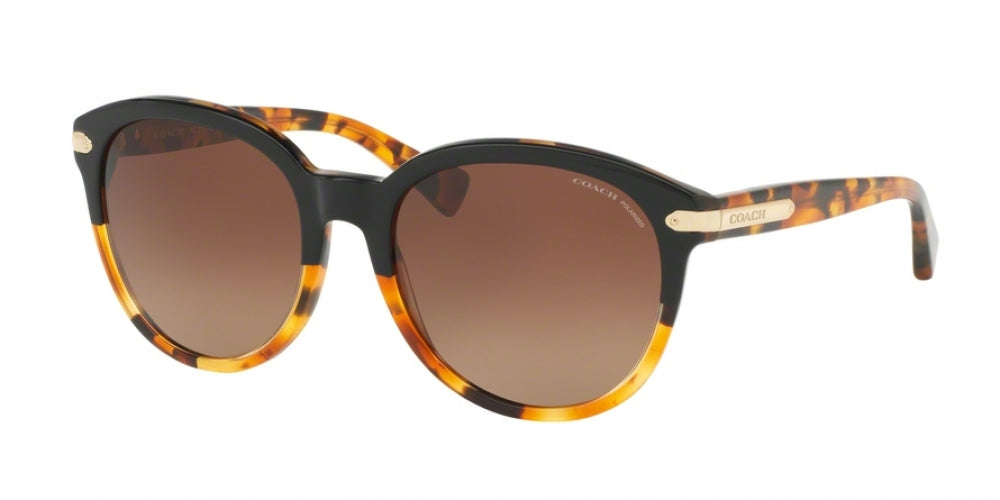 Coach L111 8140 Sunglasses