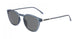 Zeiss ZS22514SP Sunglasses