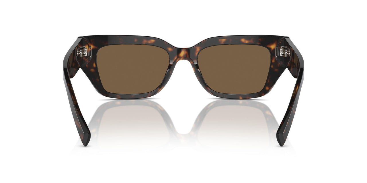 502/73 - Tortoise - Dark Brown