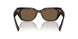 502/73 - Tortoise - Dark Brown