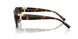 80155D - Tortoise - Azure Gradient Brown