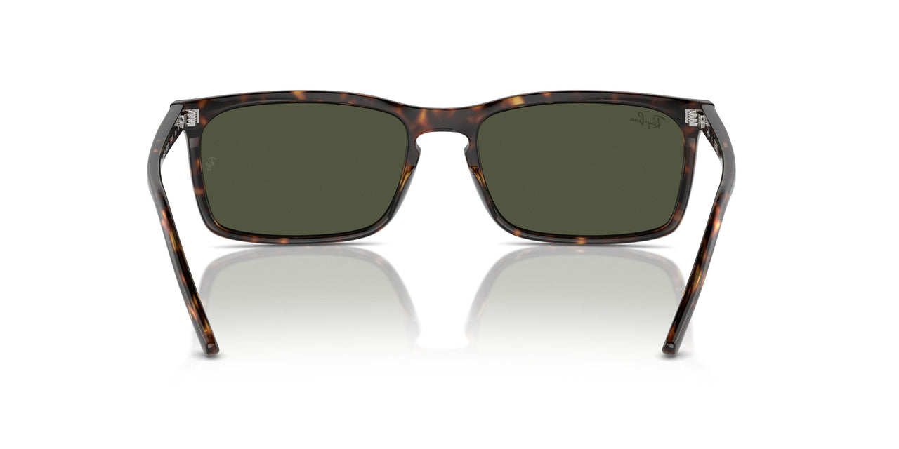 902/31 - Tortoise - Green