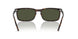 902/31 - Tortoise - Green
