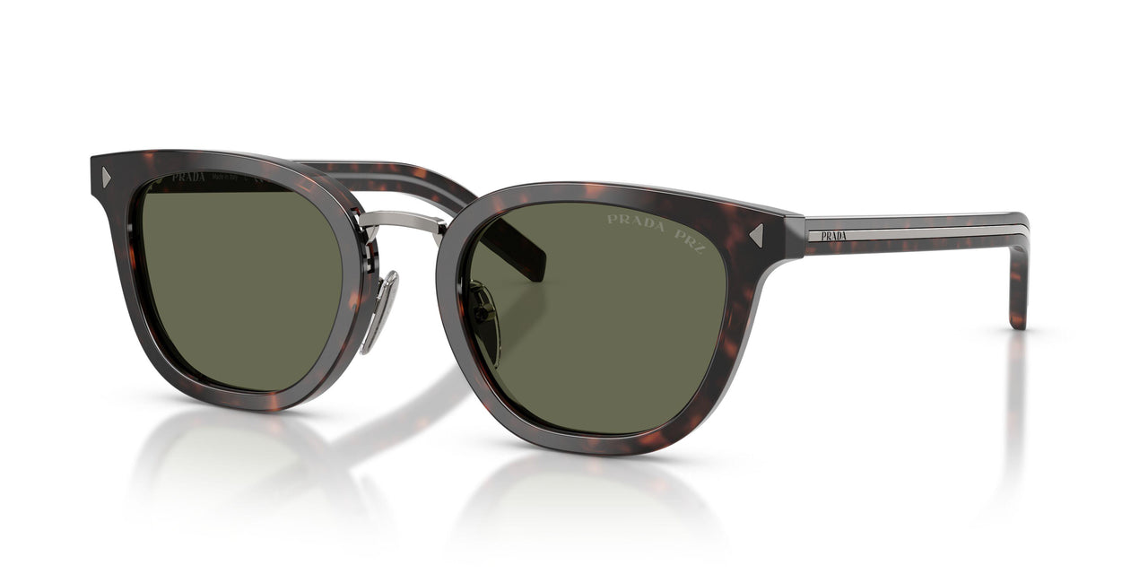 17N03R - Tortoise - Green Polar