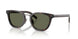 17N03R - Tortoise - Green Polar