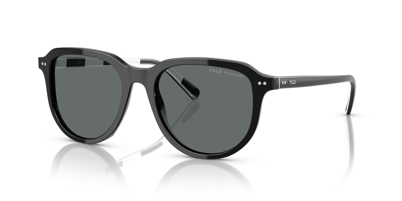 500181 - Black - Polar Dark Grey