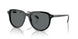 500181 - Black - Polar Dark Grey