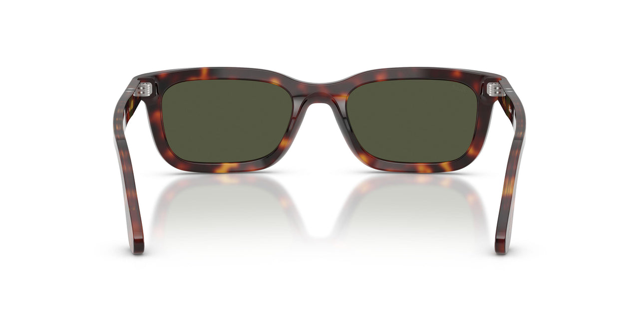 24/31 - Tortoise - Green