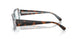 8401 - Tortoise - Clear