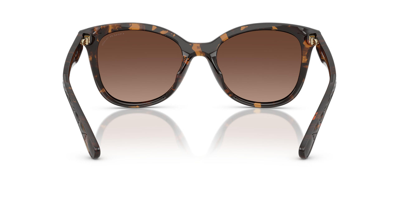 5120T5 - Tortoise - Brown Gradient Polar