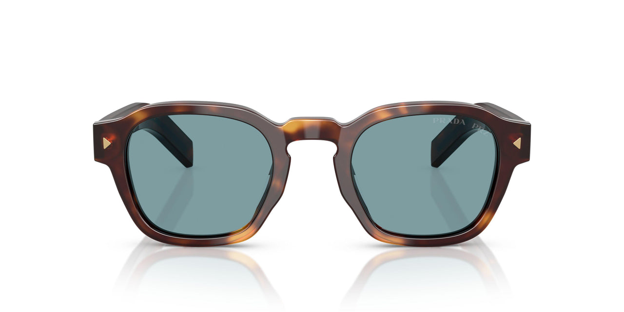 15W04D - Tortoise - Green Polar