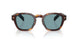 15W04D - Tortoise - Green Polar