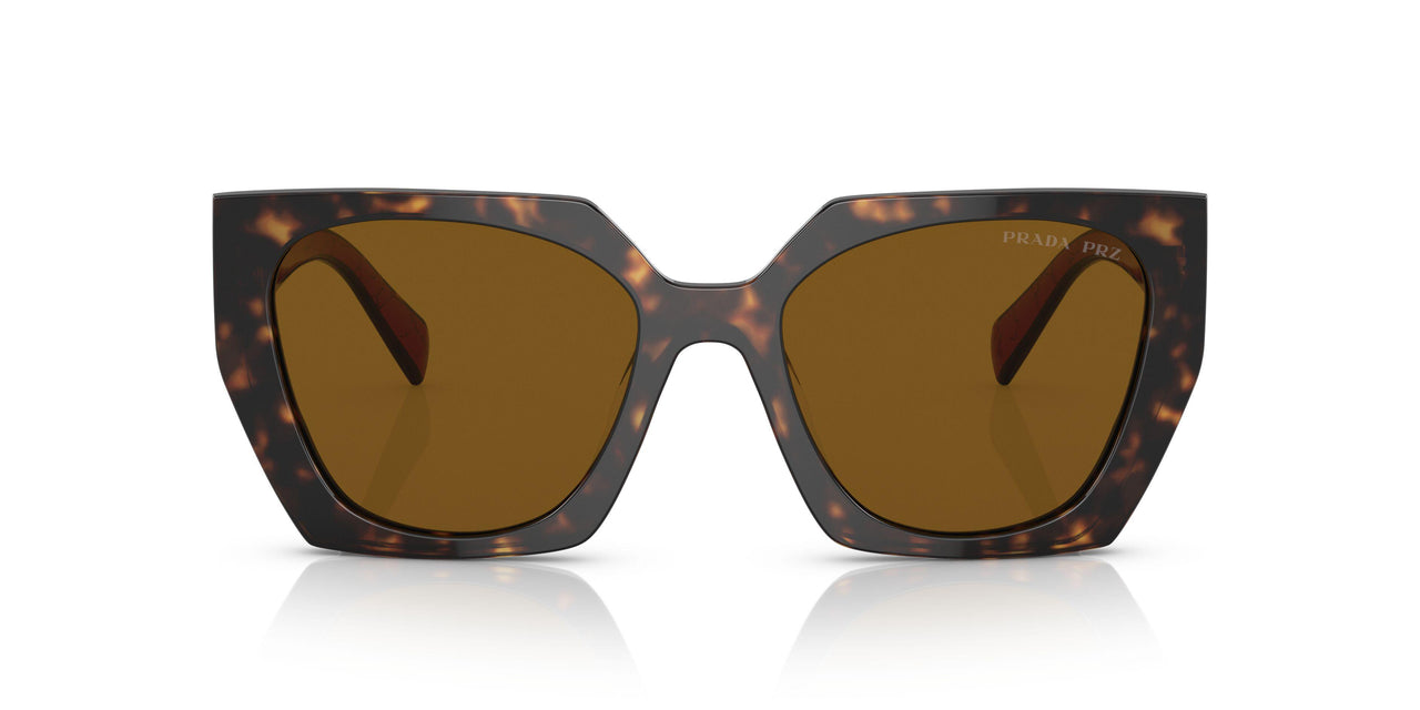 2AU5Y1 - Havana - Dark Brown Polar