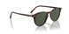17249A - Brown - Green Polarized